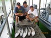 (07/13/2018) - Nice Striped Bass